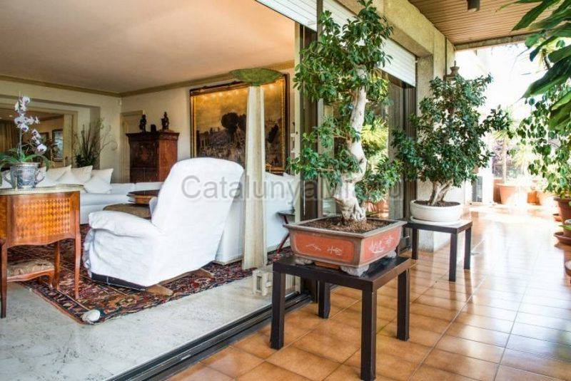 2-х этажная квартира в Барселоне с двумя террасами и собственным тропическим садом - предложение №528 - Catalunyamia.ru