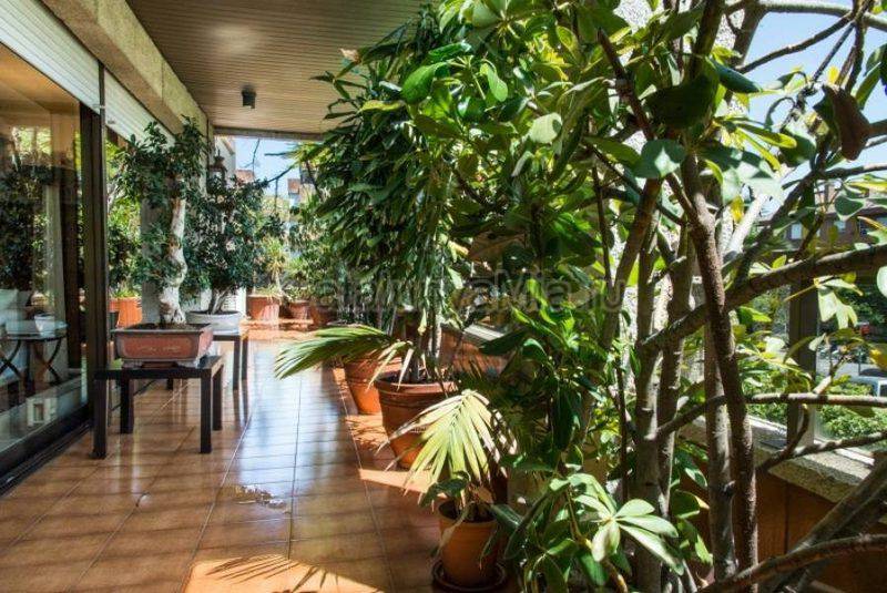 2-х этажная квартира в Барселоне с двумя террасами и собственным тропическим садом - предложение №528 - Catalunyamia.ru